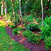 Plantings