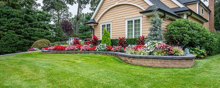 lawn maintenance
