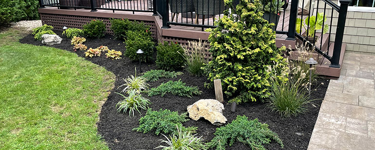 plantings