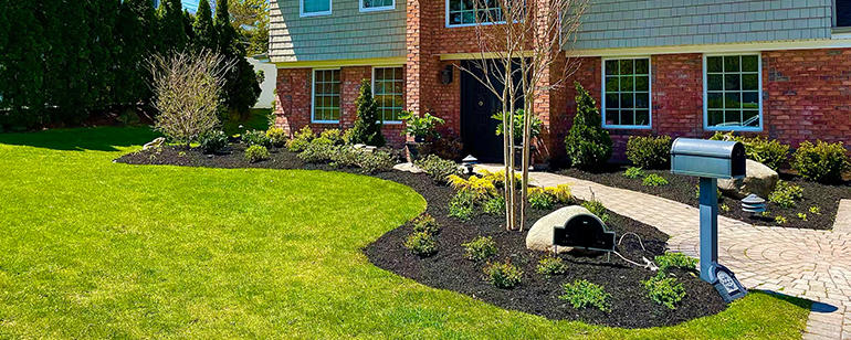 plantings