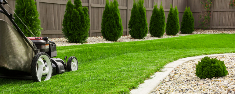 lawn maintenance